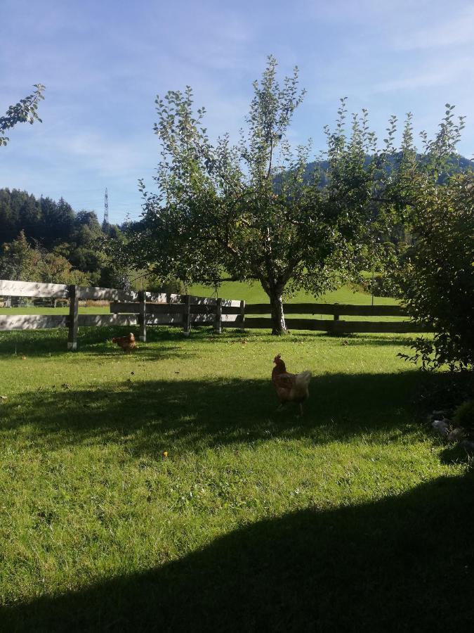 Apartmán Haus Schreder Saalfelden Exteriér fotografie