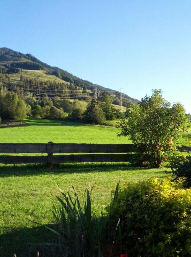 Apartmán Haus Schreder Saalfelden Exteriér fotografie