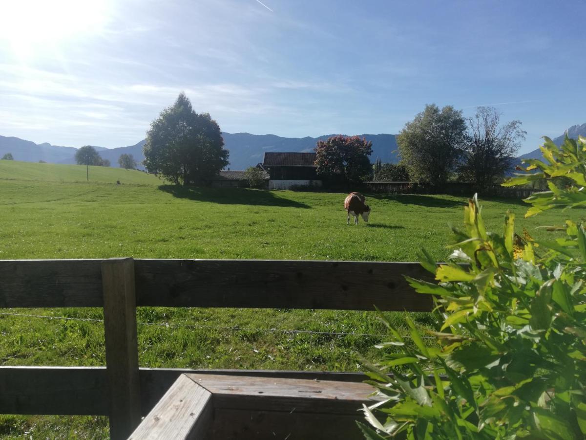 Apartmán Haus Schreder Saalfelden Exteriér fotografie