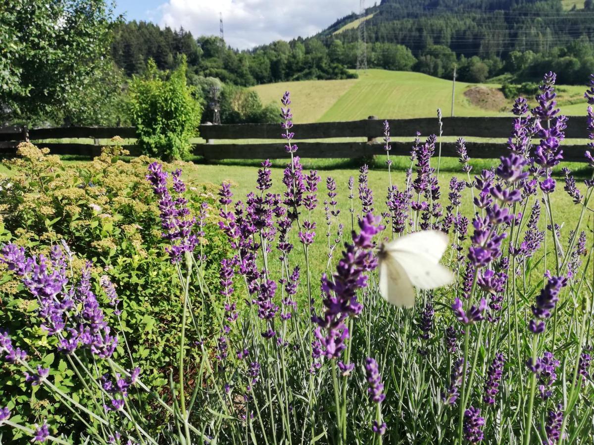 Apartmán Haus Schreder Saalfelden Exteriér fotografie