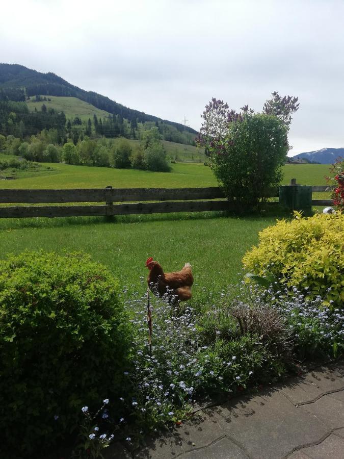 Apartmán Haus Schreder Saalfelden Exteriér fotografie