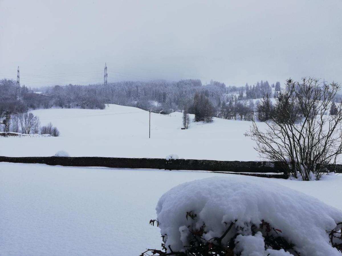 Apartmán Haus Schreder Saalfelden Exteriér fotografie