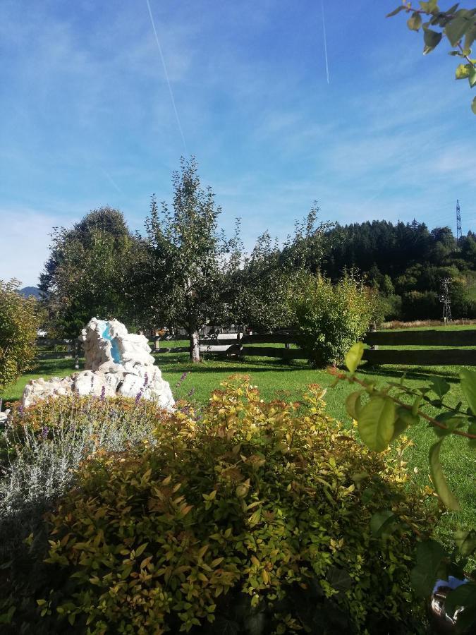 Apartmán Haus Schreder Saalfelden Exteriér fotografie